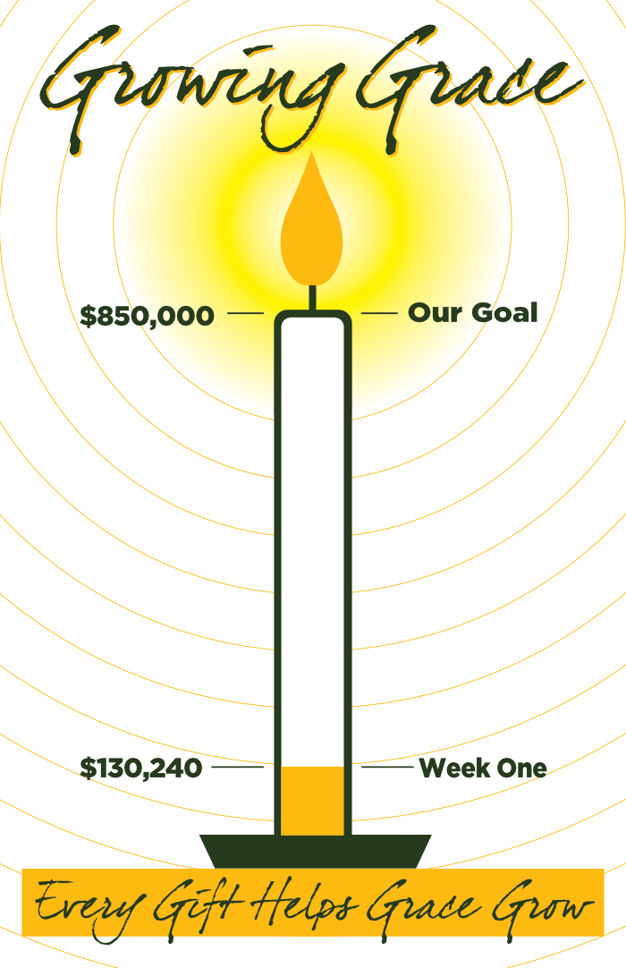 pledge campaign progress